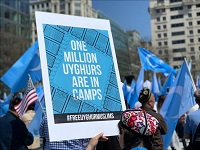  Uyghurs 