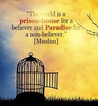  prison-house paradise 