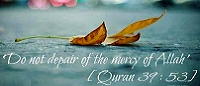  Do not despair of the mercy of Allah 