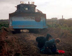 Rachel Corrie & other activists