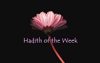  Hadith of the Week 