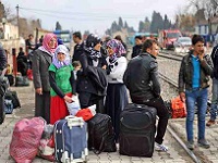  Syrian Migrants 