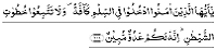  Arabic Text 
