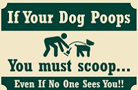  Dog Poop 